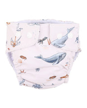 Load image into Gallery viewer, Harvey Aqua Nappy