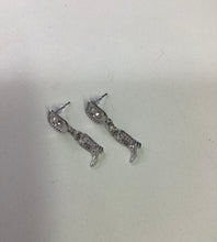 Load image into Gallery viewer, Pannawonica Rodeo Collection