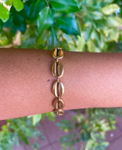 Load image into Gallery viewer, Golden Cowrie Bracelet
