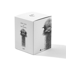 Load image into Gallery viewer, Light &amp; Glo Candle - Emu
