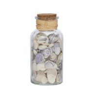 Load image into Gallery viewer, Seashell Jar
