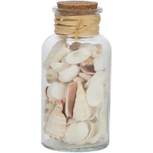 Load image into Gallery viewer, Seashell Jar
