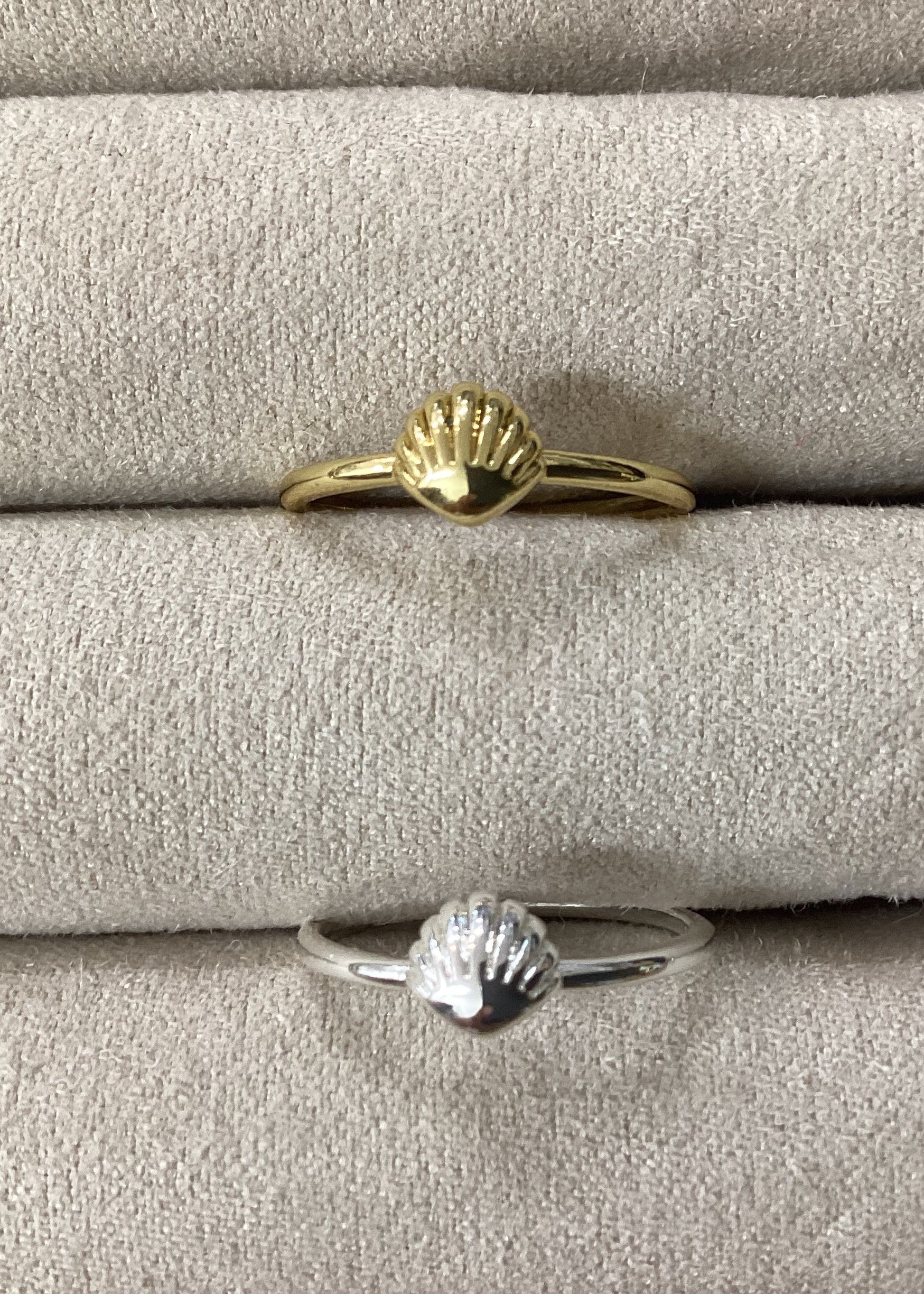 Sea Shell Ring – Wandering Tide