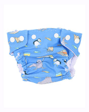 Load image into Gallery viewer, Conway Aqua Nappy
