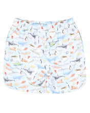 Load image into Gallery viewer, Marco Print Boardshorts
