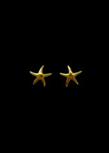 Load image into Gallery viewer, Kailani Starfish Studs
