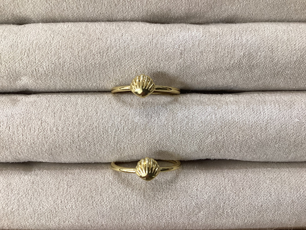 Sea Shell Ring