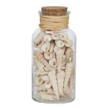 Load image into Gallery viewer, Seashell Jar

