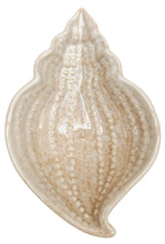 Load image into Gallery viewer, Reef Shell Trinket Dish
