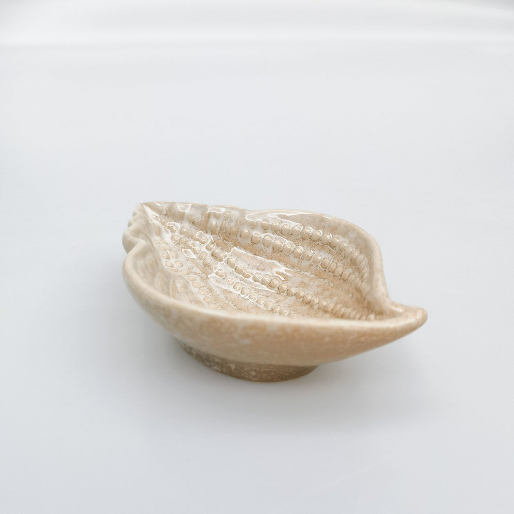 Reef Shell Trinket Dish