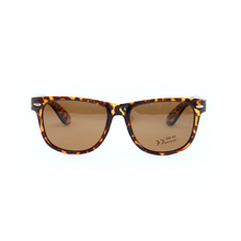 Load image into Gallery viewer, Sunglasses - Southpoint

