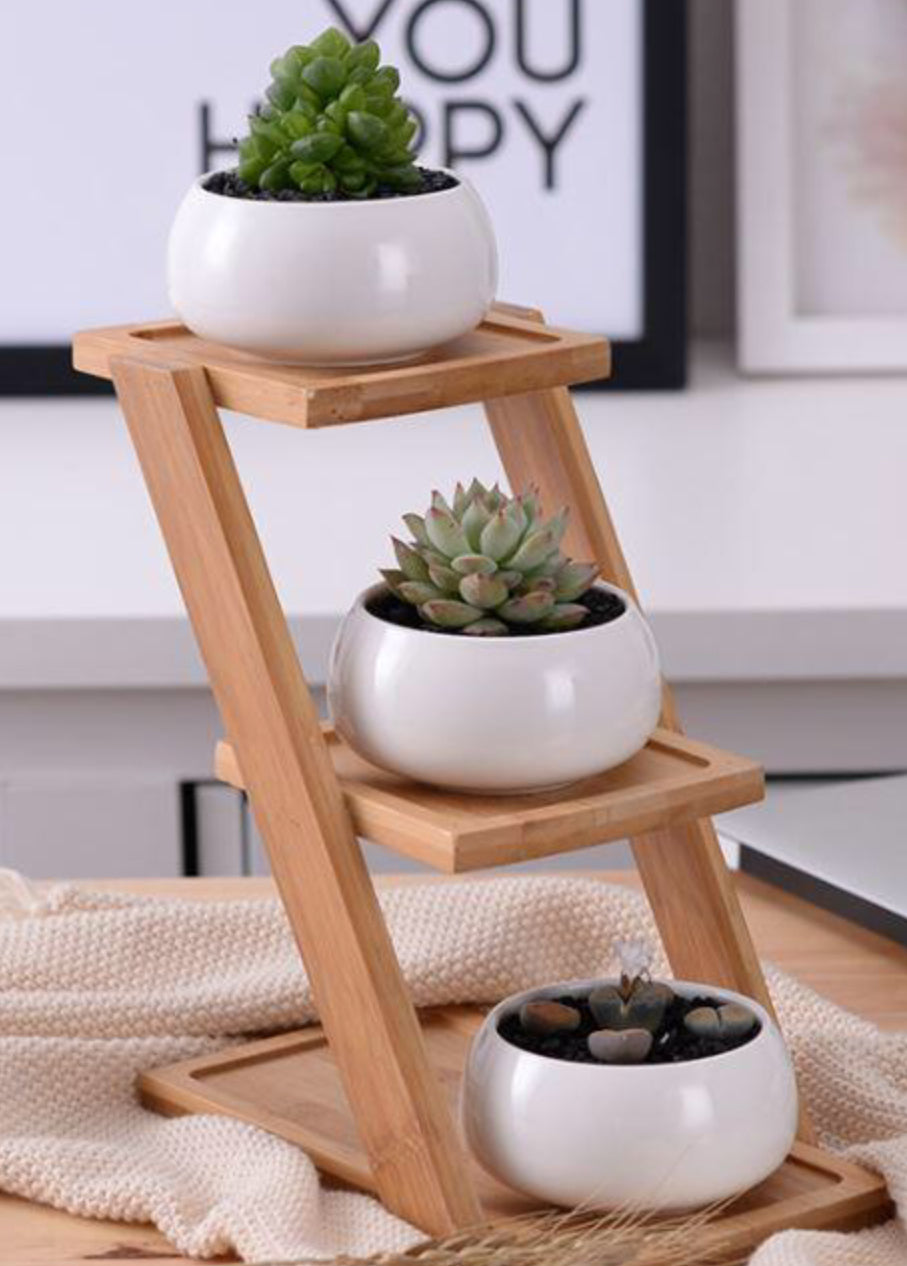Ceramic Pots with Leaning Bamboo Stand