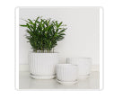 Load image into Gallery viewer, White Rib Pot Set
