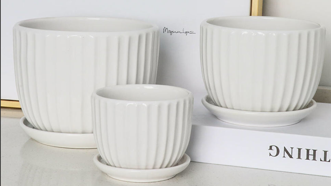 White Rib Pot Set